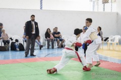 Festival E Torneio De Karate-Do Para Crianças E Exame De FaixasAssociação Shizuoka Goju-Kan Do Brasil