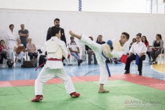 Festival E Torneio De Karate-Do Para Crianças E Exame De FaixasAssociação Shizuoka Goju-Kan Do Brasil