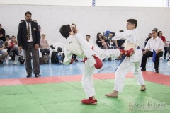 Festival E Torneio De Karate-Do Para Crianças E Exame De FaixasAssociação Shizuoka Goju-Kan Do Brasil