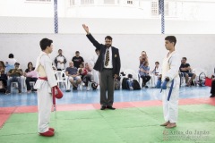 Festival E Torneio De Karate-Do Para Crianças E Exame De FaixasAssociação Shizuoka Goju-Kan Do Brasil