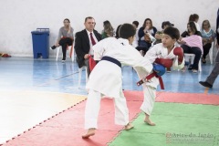 Festival E Torneio De Karate-Do Para Crianças E Exame De FaixasAssociação Shizuoka Goju-Kan Do Brasil