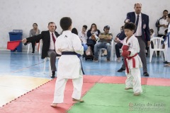 Festival E Torneio De Karate-Do Para Crianças E Exame De FaixasAssociação Shizuoka Goju-Kan Do Brasil