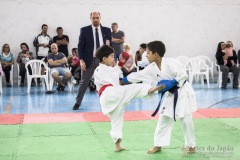 Festival E Torneio De Karate-Do Para Crianças E Exame De FaixasAssociação Shizuoka Goju-Kan Do Brasil