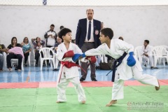 Festival E Torneio De Karate-Do Para Crianças E Exame De FaixasAssociação Shizuoka Goju-Kan Do Brasil