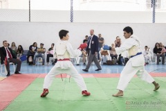 Festival E Torneio De Karate-Do Para Crianças E Exame De FaixasAssociação Shizuoka Goju-Kan Do Brasil