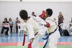 Festival E Torneio De Karate-Do Para Crianças E Exame De FaixasAssociação Shizuoka Goju-Kan Do Brasil