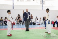 Festival E Torneio De Karate-Do Para Crianças E Exame De FaixasAssociação Shizuoka Goju-Kan Do Brasil