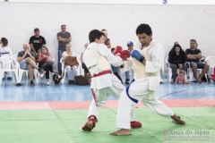 Festival E Torneio De Karate-Do Para Crianças E Exame De FaixasAssociação Shizuoka Goju-Kan Do Brasil