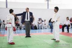 Festival E Torneio De Karate-Do Para Crianças E Exame De FaixasAssociação Shizuoka Goju-Kan Do Brasil