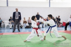 Festival E Torneio De Karate-Do Para Crianças E Exame De FaixasAssociação Shizuoka Goju-Kan Do Brasil