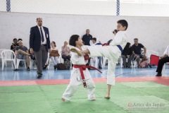 Festival E Torneio De Karate-Do Para Crianças E Exame De FaixasAssociação Shizuoka Goju-Kan Do Brasil