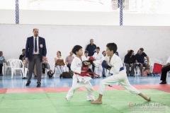 Festival E Torneio De Karate-Do Para Crianças E Exame De FaixasAssociação Shizuoka Goju-Kan Do Brasil