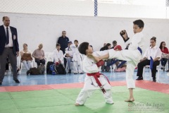 Festival E Torneio De Karate-Do Para Crianças E Exame De FaixasAssociação Shizuoka Goju-Kan Do Brasil