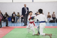 Festival E Torneio De Karate-Do Para Crianças E Exame De FaixasAssociação Shizuoka Goju-Kan Do Brasil