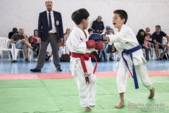 Festival E Torneio De Karate-Do Para Crianças E Exame De FaixasAssociação Shizuoka Goju-Kan Do Brasil