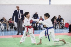 Festival E Torneio De Karate-Do Para Crianças E Exame De FaixasAssociação Shizuoka Goju-Kan Do Brasil