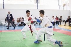 Festival E Torneio De Karate-Do Para Crianças E Exame De FaixasAssociação Shizuoka Goju-Kan Do Brasil