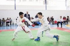 Festival E Torneio De Karate-Do Para Crianças E Exame De FaixasAssociação Shizuoka Goju-Kan Do Brasil