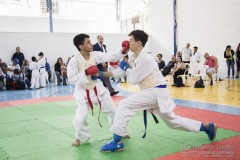 Festival E Torneio De Karate-Do Para Crianças E Exame De FaixasAssociação Shizuoka Goju-Kan Do Brasil