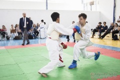 Festival E Torneio De Karate-Do Para Crianças E Exame De FaixasAssociação Shizuoka Goju-Kan Do Brasil