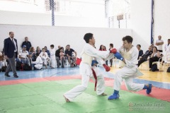 Festival E Torneio De Karate-Do Para Crianças E Exame De FaixasAssociação Shizuoka Goju-Kan Do Brasil