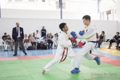 Festival E Torneio De Karate-Do Para Crianças E Exame De FaixasAssociação Shizuoka Goju-Kan Do Brasil