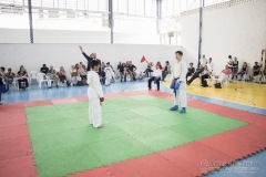 Festival E Torneio De Karate-Do Para Crianças E Exame De FaixasAssociação Shizuoka Goju-Kan Do Brasil