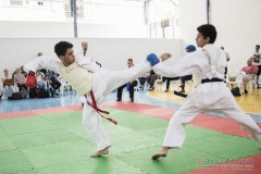 Festival E Torneio De Karate-Do Para Crianças E Exame De FaixasAssociação Shizuoka Goju-Kan Do Brasil