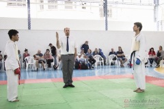 Festival E Torneio De Karate-Do Para Crianças E Exame De FaixasAssociação Shizuoka Goju-Kan Do Brasil