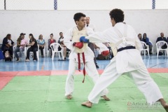 Festival E Torneio De Karate-Do Para Crianças E Exame De FaixasAssociação Shizuoka Goju-Kan Do Brasil