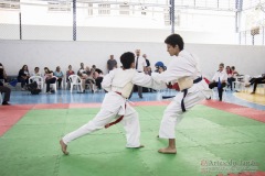 Festival E Torneio De Karate-Do Para Crianças E Exame De FaixasAssociação Shizuoka Goju-Kan Do Brasil