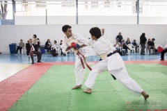 Festival E Torneio De Karate-Do Para Crianças E Exame De FaixasAssociação Shizuoka Goju-Kan Do Brasil