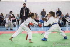 Festival E Torneio De Karate-Do Para Crianças E Exame De FaixasAssociação Shizuoka Goju-Kan Do Brasil