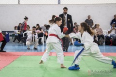 Festival E Torneio De Karate-Do Para Crianças E Exame De FaixasAssociação Shizuoka Goju-Kan Do Brasil