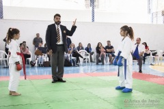 Festival E Torneio De Karate-Do Para Crianças E Exame De FaixasAssociação Shizuoka Goju-Kan Do Brasil