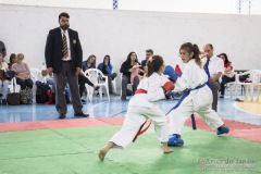 Festival E Torneio De Karate-Do Para Crianças E Exame De FaixasAssociação Shizuoka Goju-Kan Do Brasil