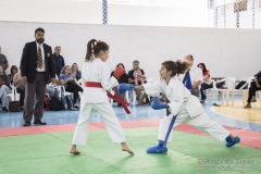 Festival E Torneio De Karate-Do Para Crianças E Exame De FaixasAssociação Shizuoka Goju-Kan Do Brasil