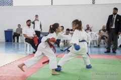 Festival E Torneio De Karate-Do Para Crianças E Exame De FaixasAssociação Shizuoka Goju-Kan Do Brasil