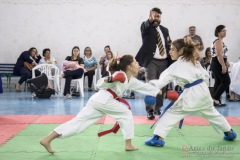 Festival E Torneio De Karate-Do Para Crianças E Exame De FaixasAssociação Shizuoka Goju-Kan Do Brasil