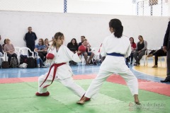 Festival E Torneio De Karate-Do Para Crianças E Exame De FaixasAssociação Shizuoka Goju-Kan Do Brasil