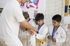 Festival E Torneio De Karate-Do Para Crianças E Exame De FaixasAssociação Shizuoka Goju-Kan Do Brasil