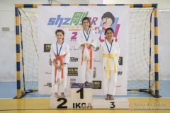 Festival E Torneio De Karate-Do Para Crianças E Exame De FaixasAssociação Shizuoka Goju-Kan Do Brasil