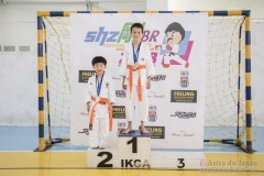 Festival E Torneio De Karate-Do Para Crianças E Exame De FaixasAssociação Shizuoka Goju-Kan Do Brasil