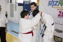 Festival E Torneio De Karate-Do Para Crianças E Exame De FaixasAssociação Shizuoka Goju-Kan Do Brasil