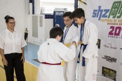 Festival E Torneio De Karate-Do Para Crianças E Exame De FaixasAssociação Shizuoka Goju-Kan Do Brasil