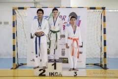 Festival E Torneio De Karate-Do Para Crianças E Exame De FaixasAssociação Shizuoka Goju-Kan Do Brasil