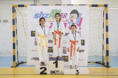 Festival E Torneio De Karate-Do Para Crianças E Exame De FaixasAssociação Shizuoka Goju-Kan Do Brasil