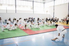 Festival E Torneio De Karate-Do Para Crianças E Exame De FaixasAssociação Shizuoka Goju-Kan Do Brasil