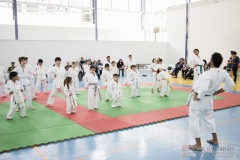 Festival E Torneio De Karate-Do Para Crianças E Exame De FaixasAssociação Shizuoka Goju-Kan Do Brasil