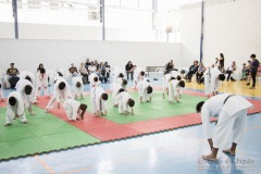 Festival E Torneio De Karate-Do Para Crianças E Exame De FaixasAssociação Shizuoka Goju-Kan Do Brasil